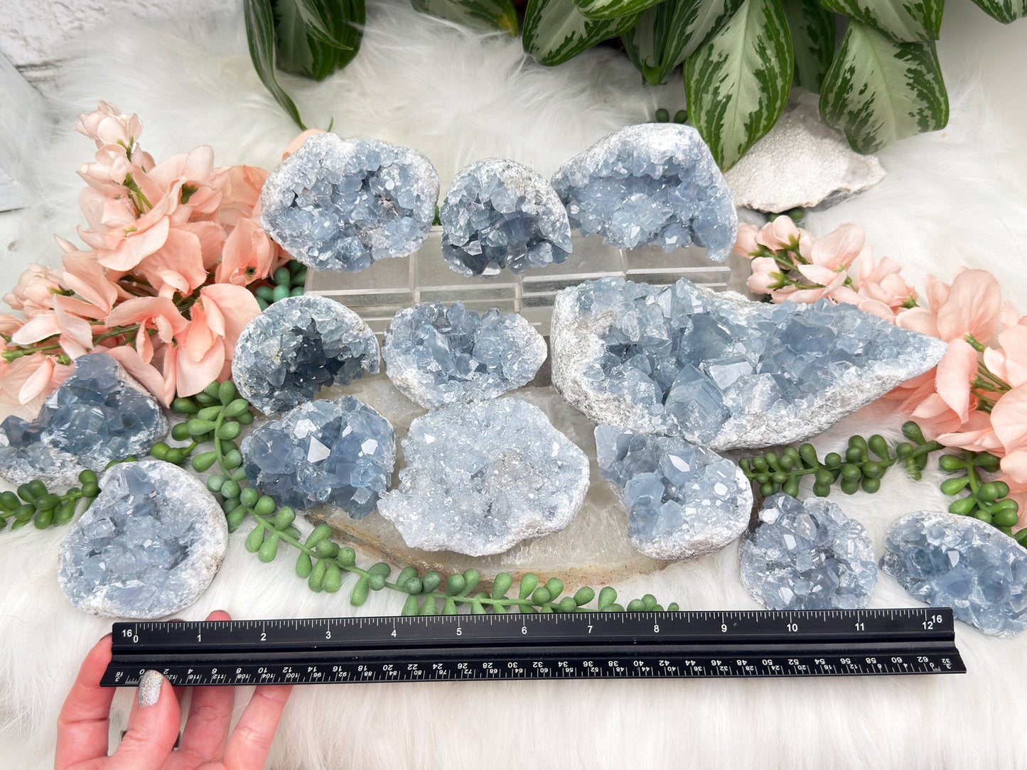 Blue Celestite Clusters