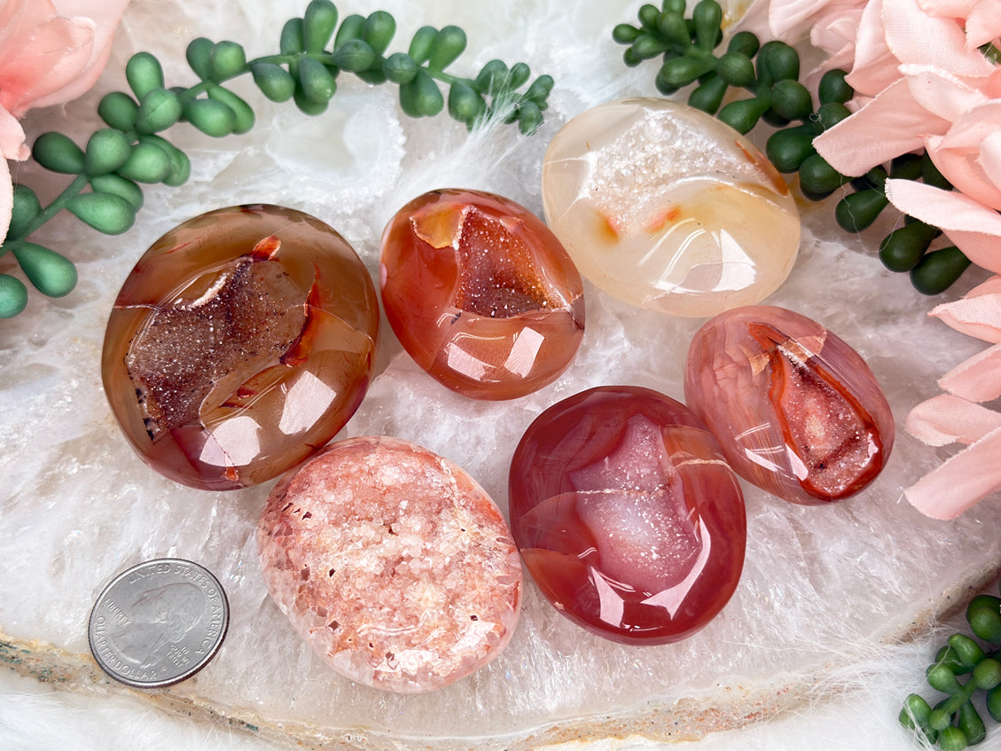 Orange Carnelian Palms