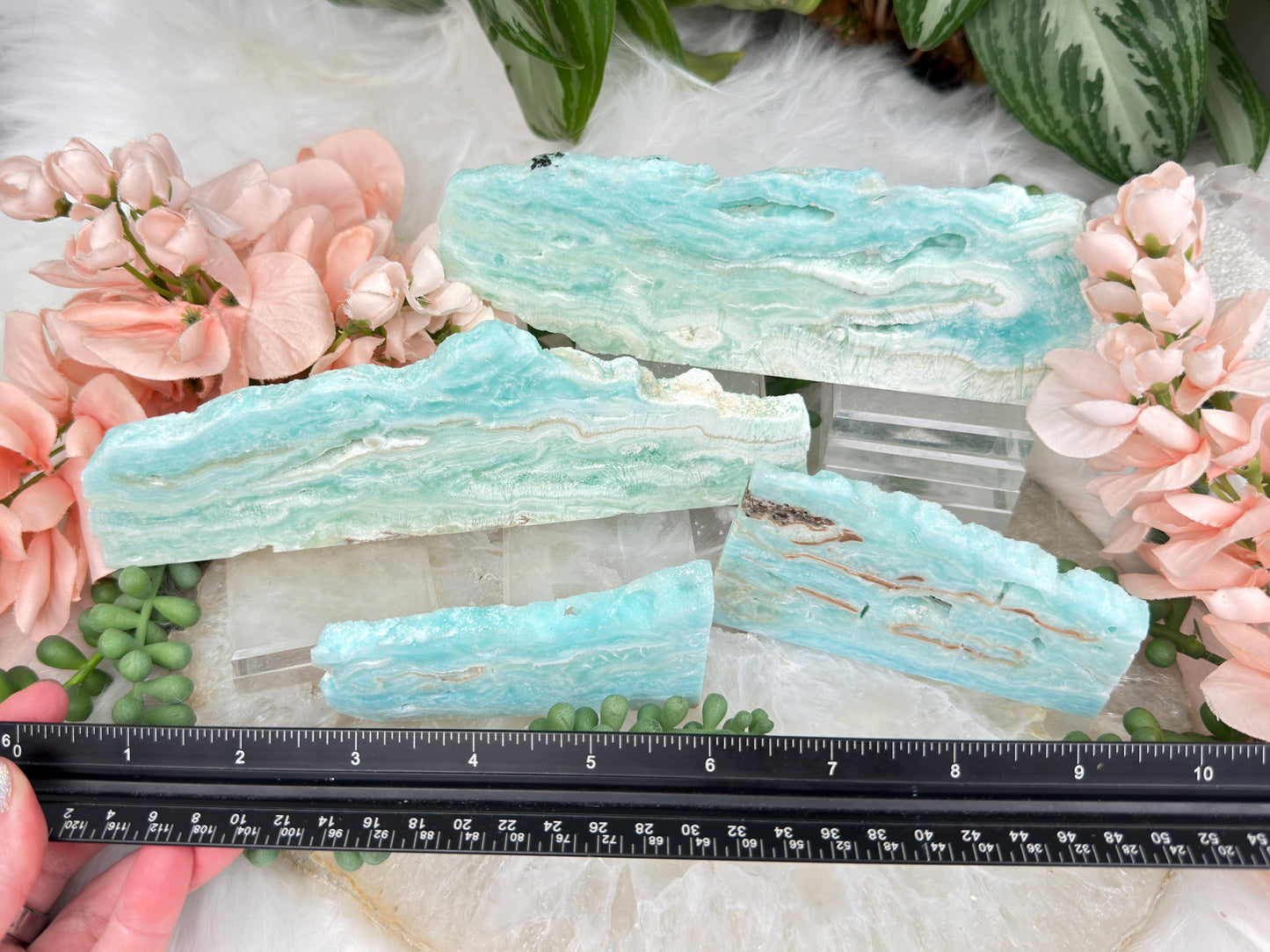 Blue Aragonite Slices