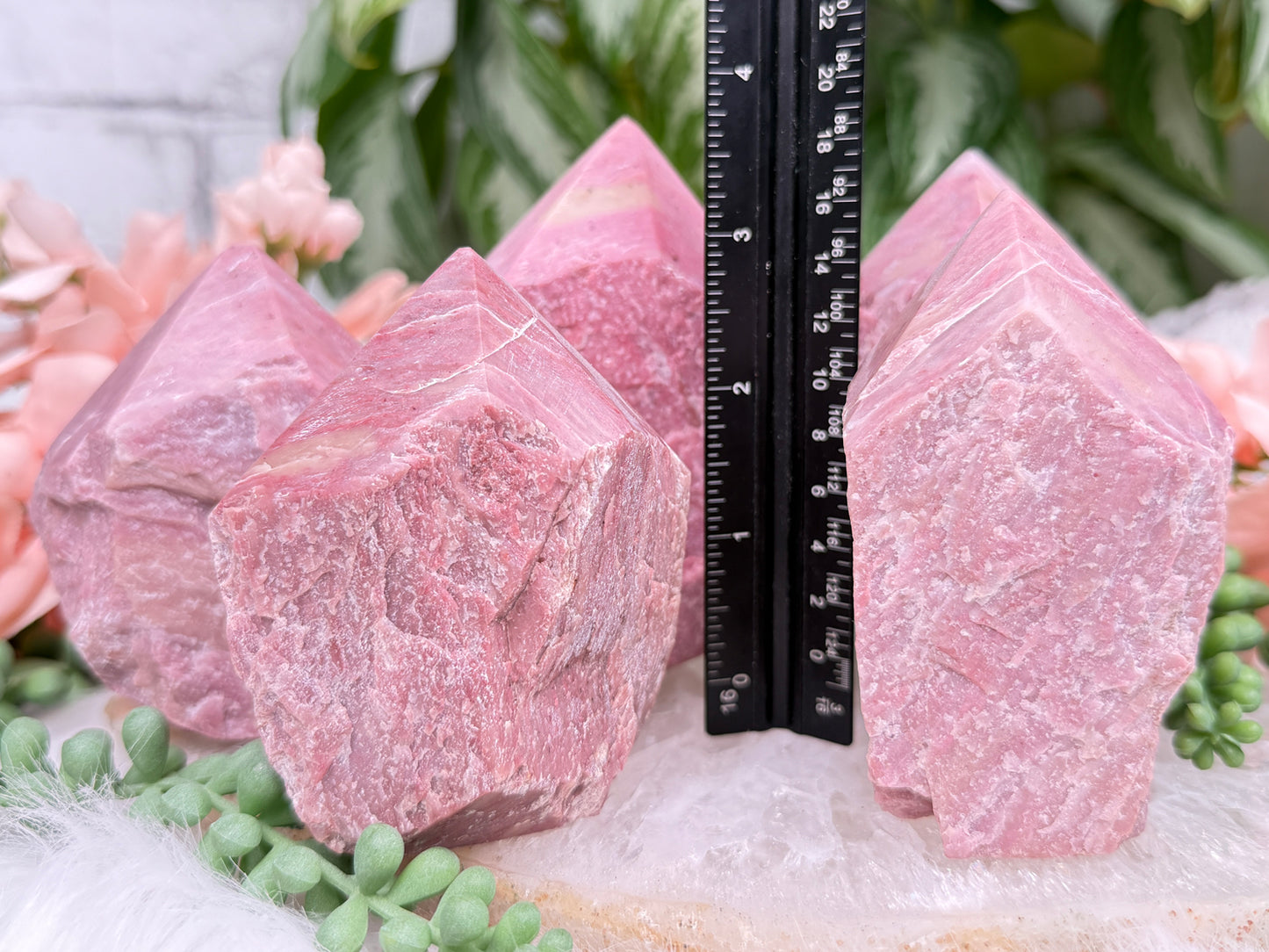 Pink Petrified Wood Points