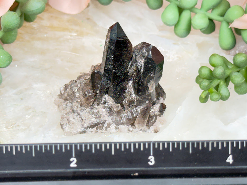 Small Smoky Quartz Cluster