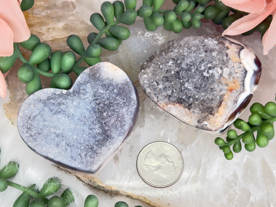Orca Agate Hearts