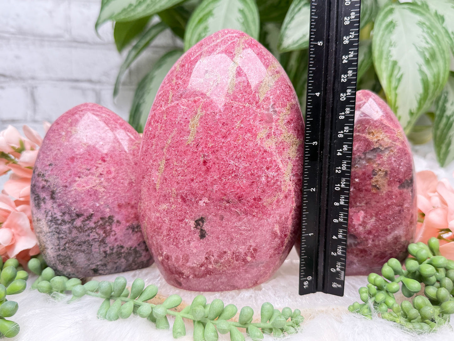 Rhodonite Freeforms (A Grade)