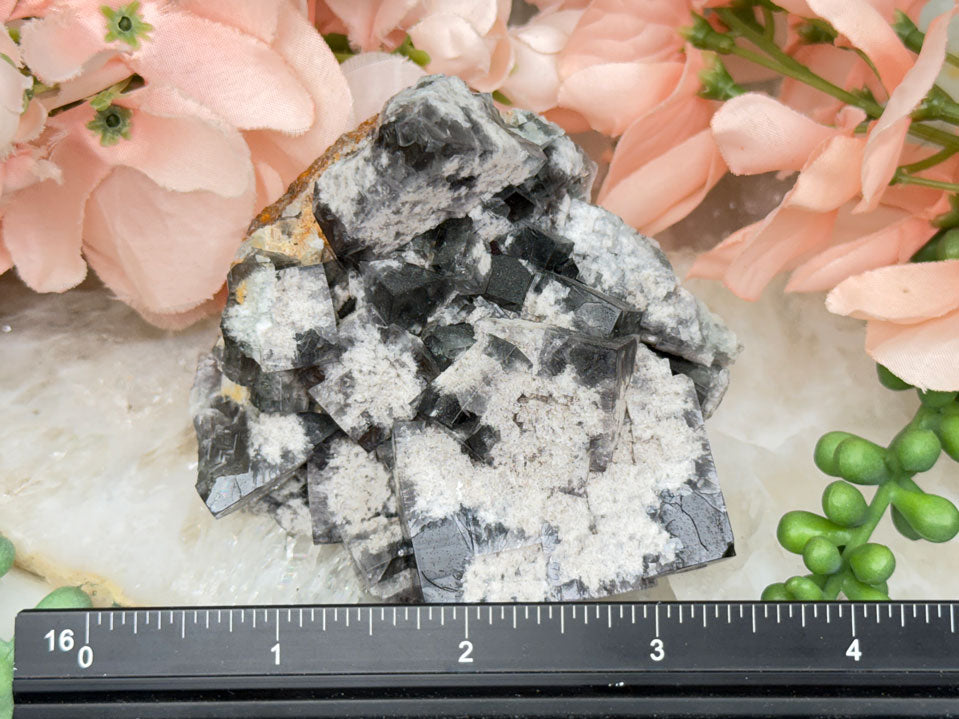 UV Reactive Diana Maria Fluorite