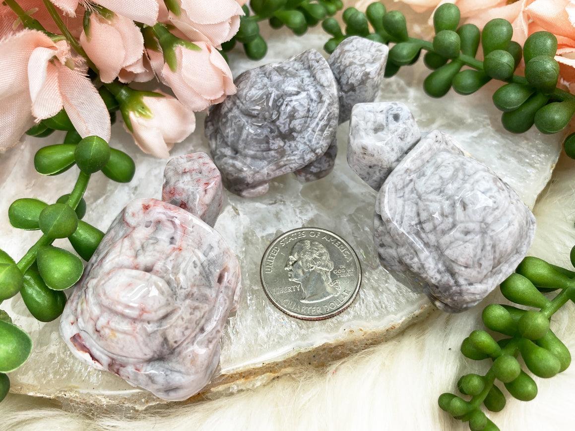 Crazy Lace Agate Turtle