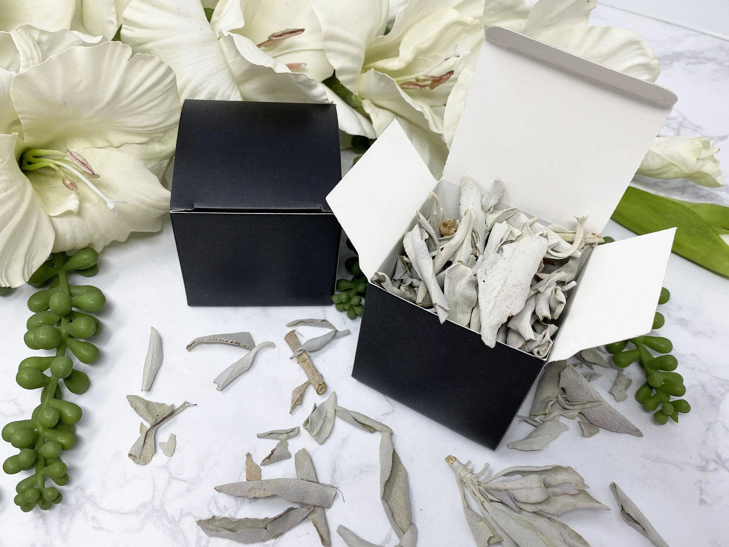 White Sage Smudge Leaves Box