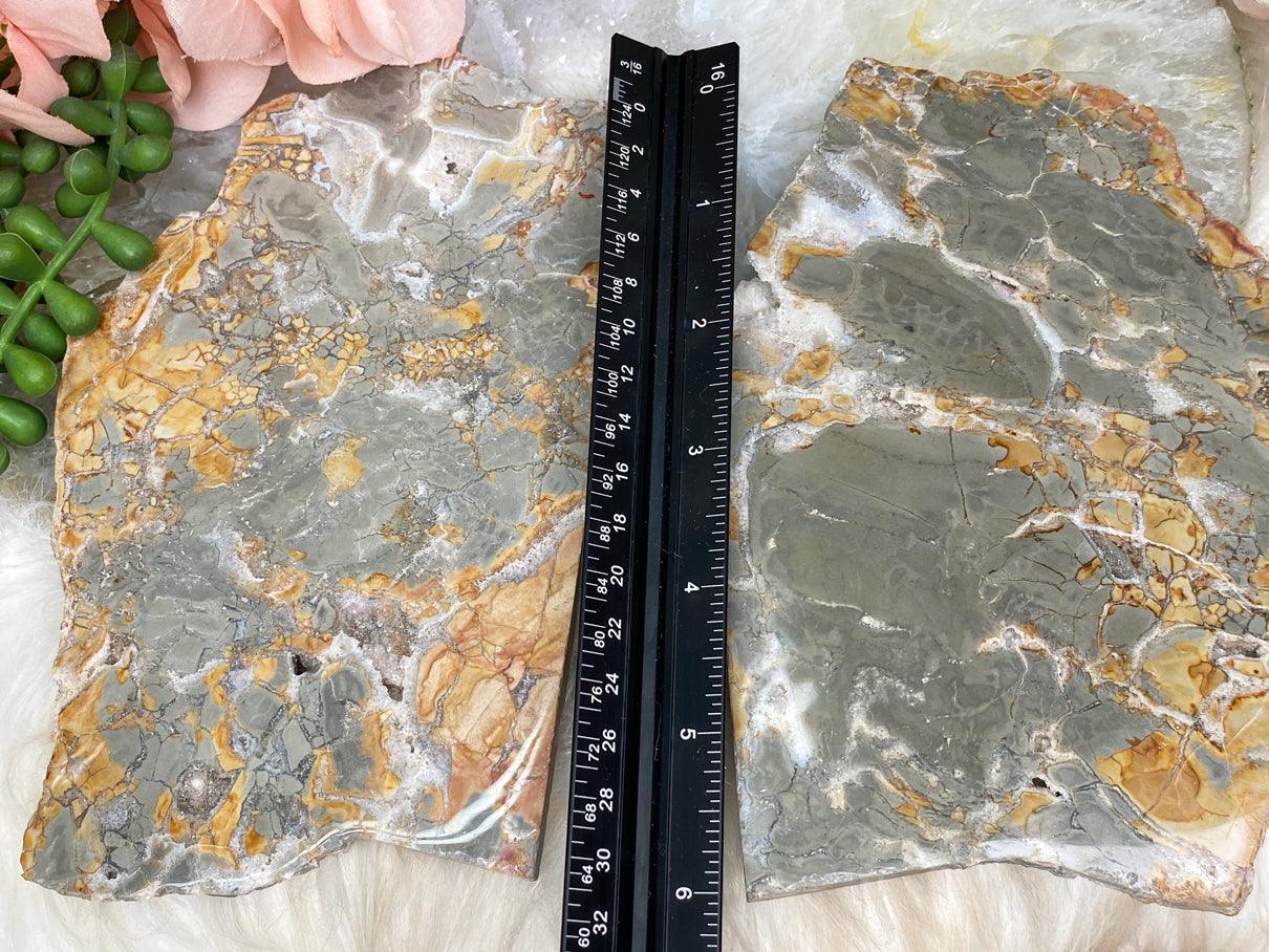 agatized-jasper-slices