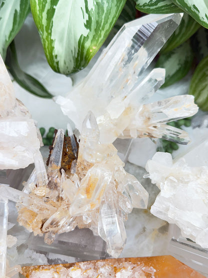 Colombian Quartz With Limonite