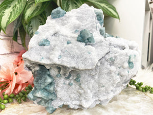    Fujian-Green-Fluorite-on-White-Druzy-Quartz-Crystal-Cluster