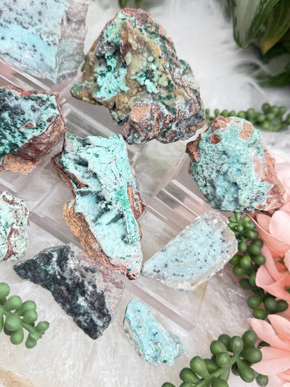 Sparkle Chrysocolla Malachite