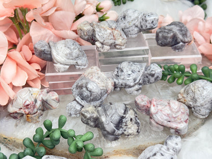 crazy lace agate crystal turtle