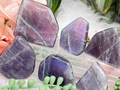 Pink Purple Labradorite