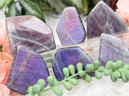 Pink Purple Labradorite