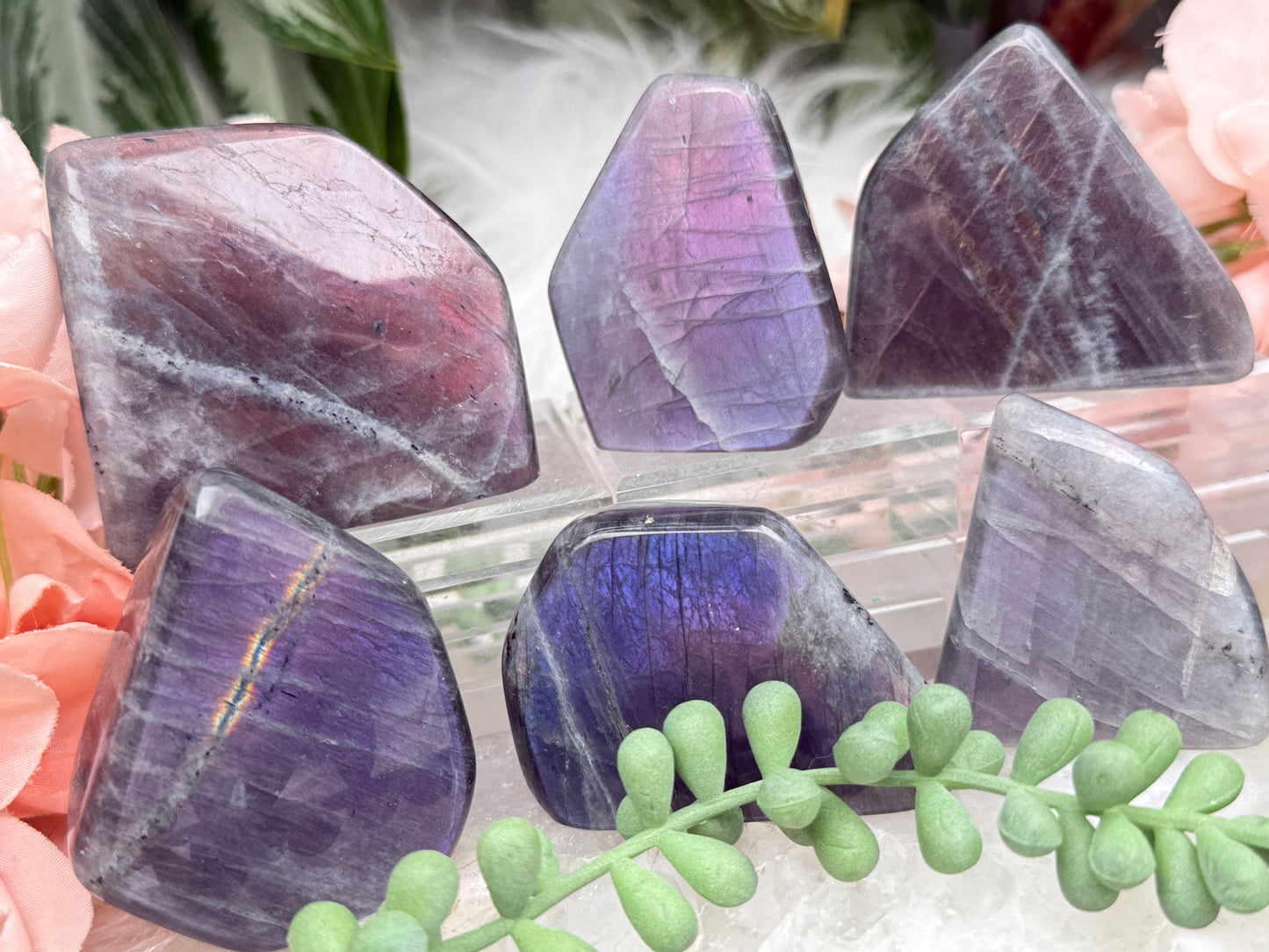 Pink Purple Labradorite