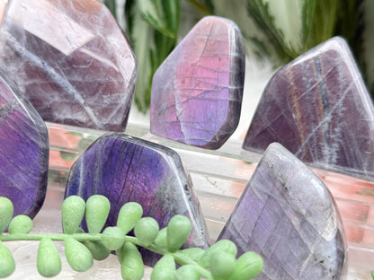 Pink Purple Labradorite