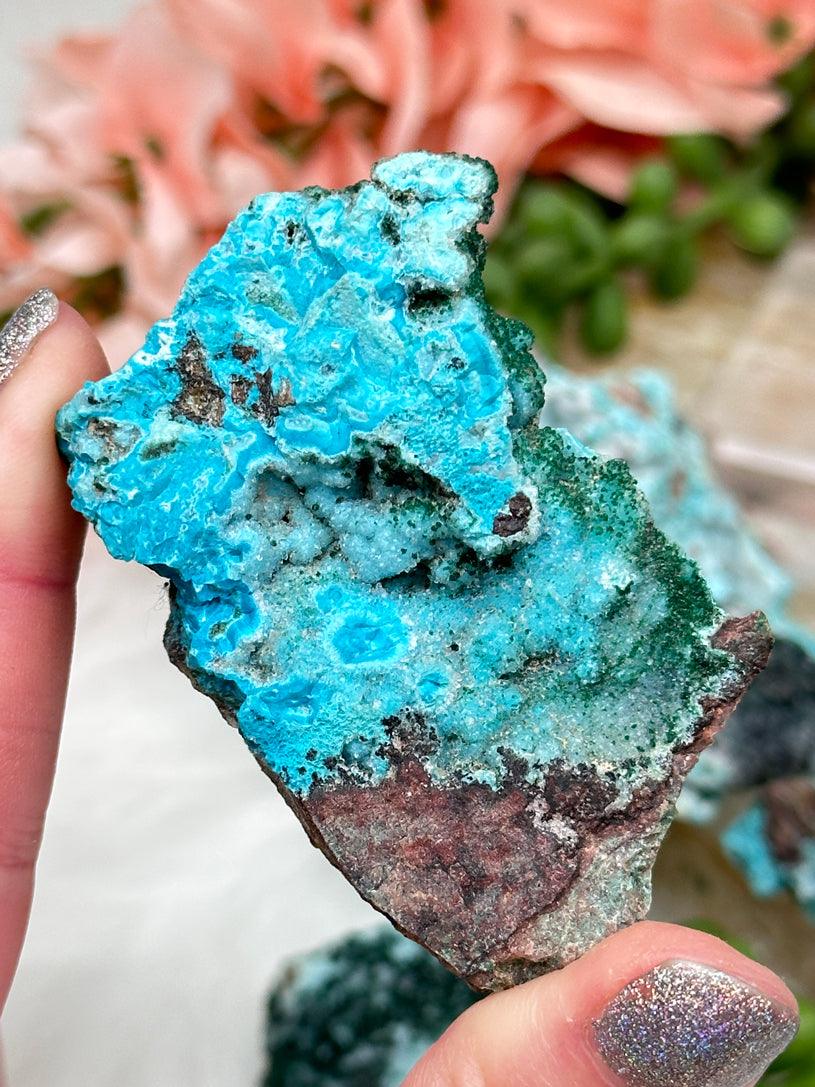 Druzy Chrysocolla Crystal Specimen (1x), Special Crystal, from Congo, Ethical & Natural, High Quality (Medium) *NEW* store