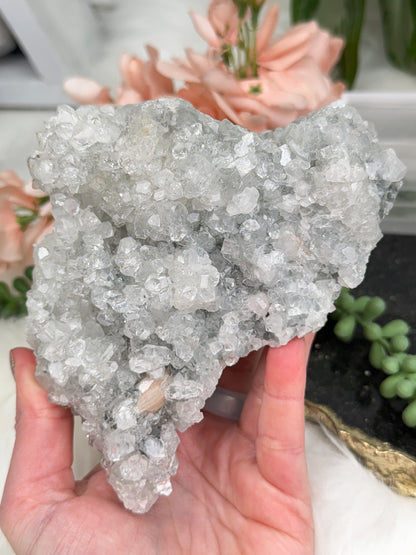 High End Apophyllite