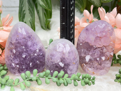 Raw Amethyst Freeforms
