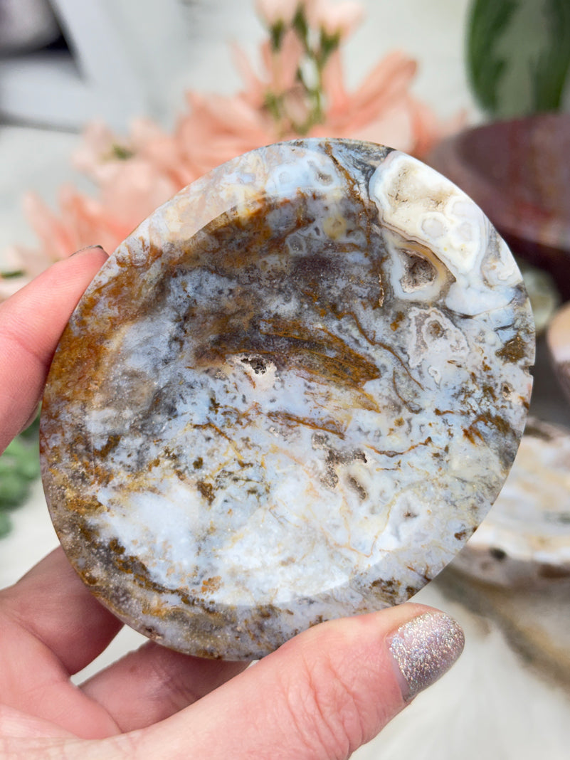 Ocean Jasper Bowls