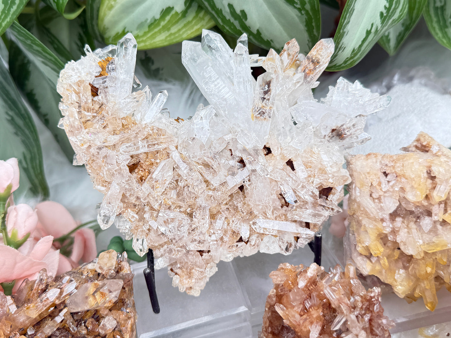 Golden Colombian Quartz