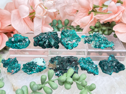 small-dioptase-crystals-from-namibia