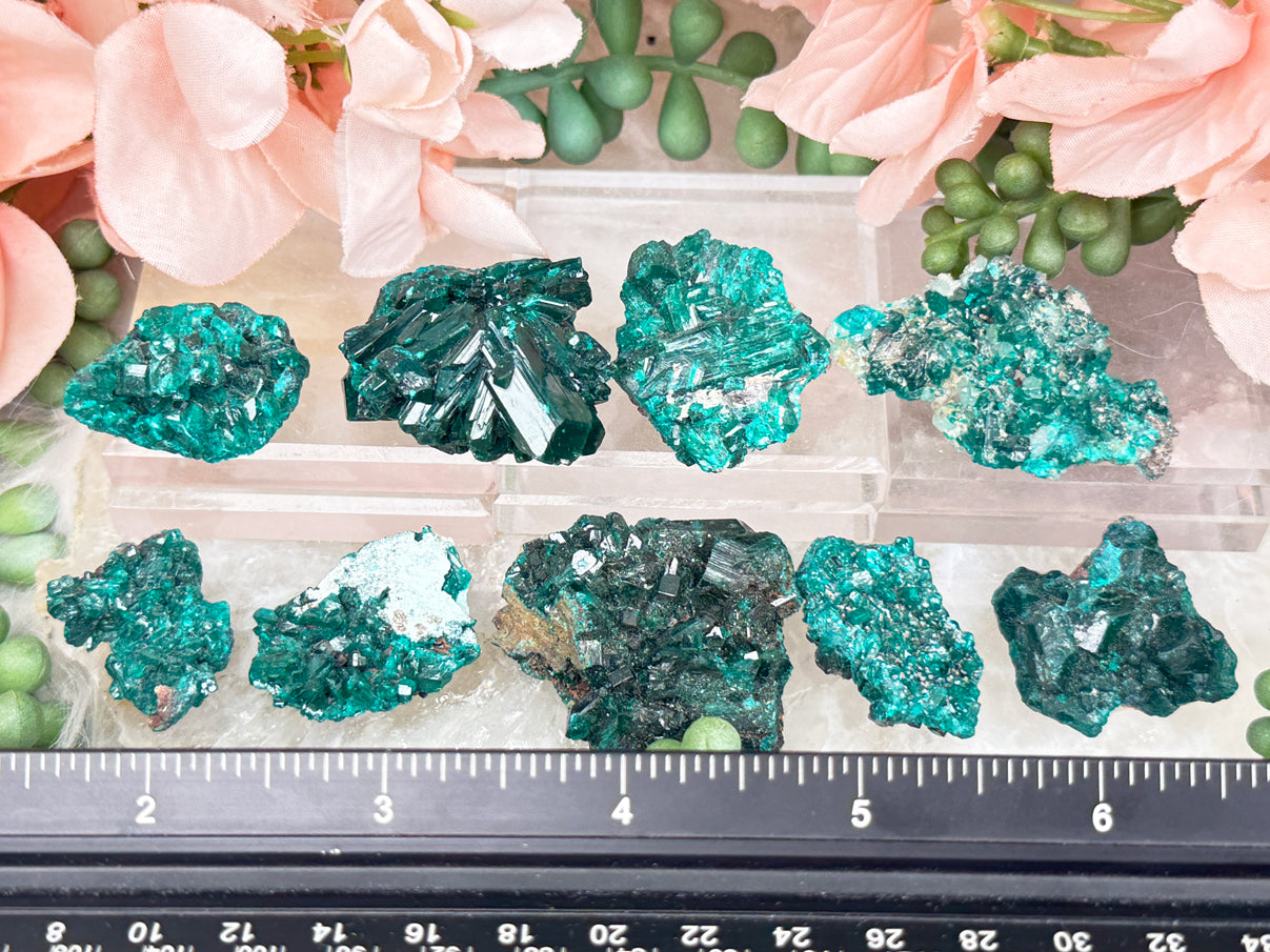 Teal Dioptase Specimens