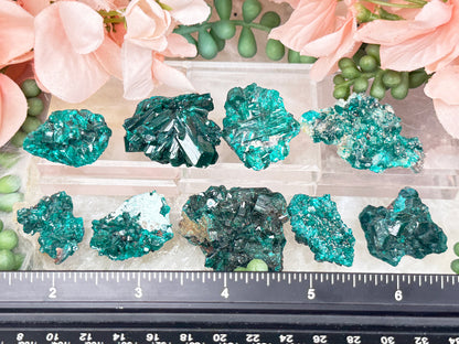 Teal Dioptase Specimens