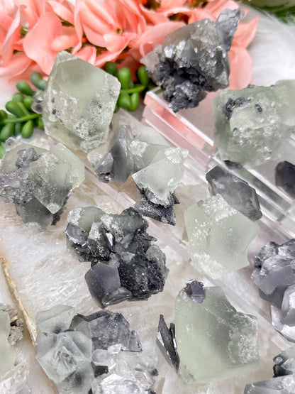 Green Fluorite Gray Bladed Calcite