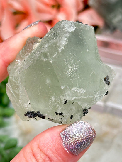 Green Fluorite Gray Bladed Calcite