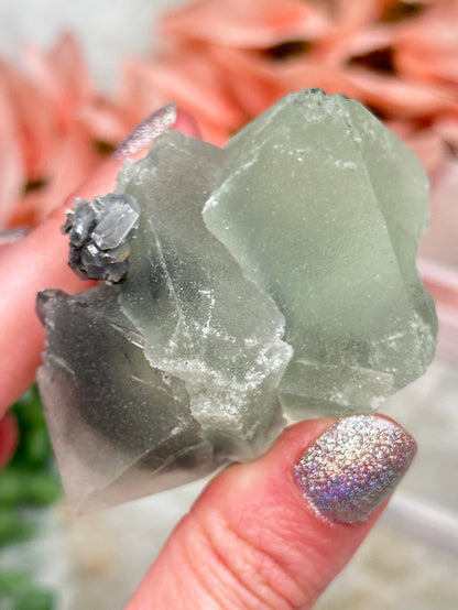 Green Fluorite Gray Bladed Calcite