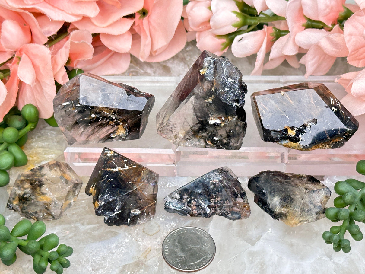 Black Brookite in Quartz