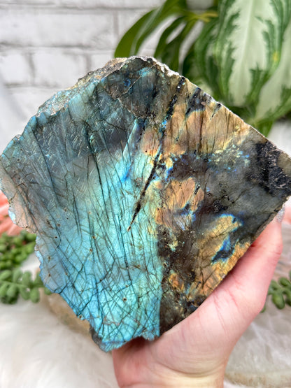 Standing Semi-Polished Labradorite