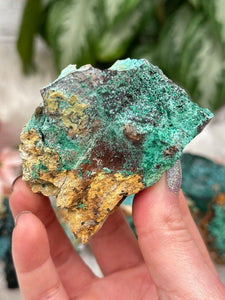 Contempo Crystals - green-malachite-from-morocco - Image 16