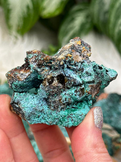 Malachite with Crysocolla