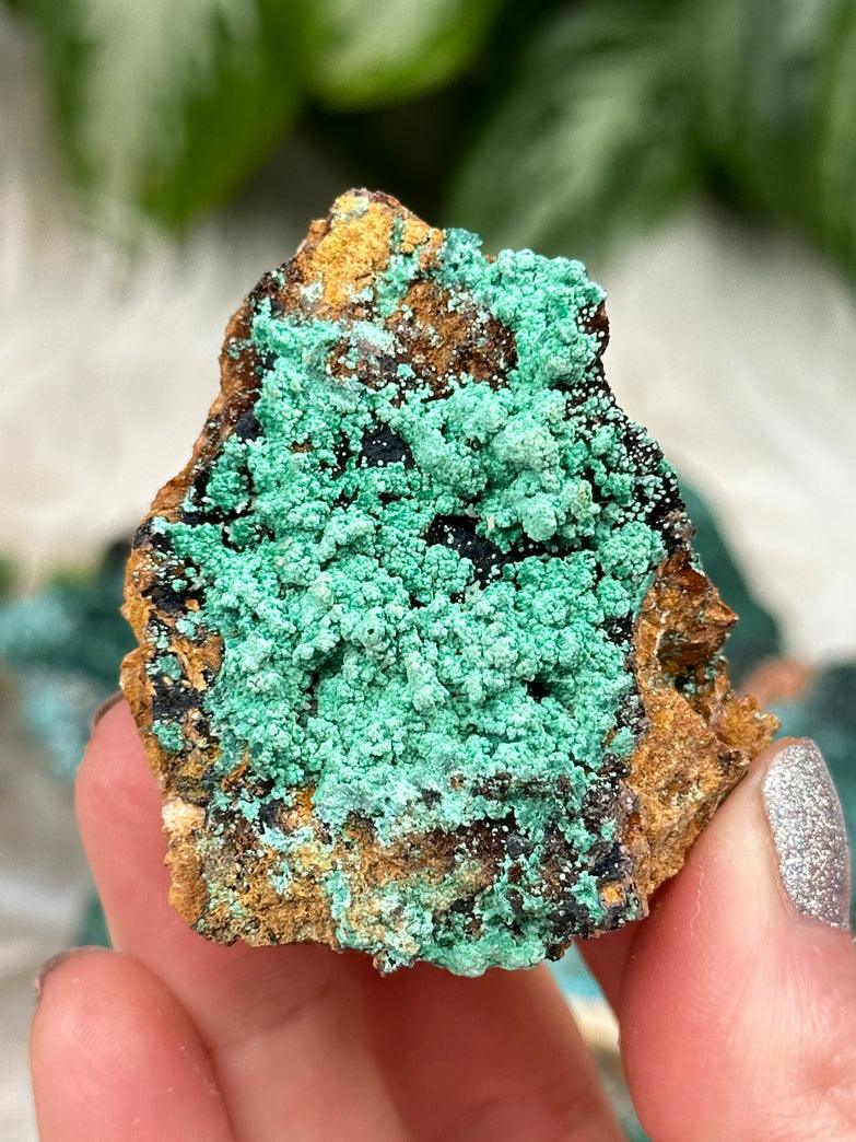 Malachite with Crysocolla