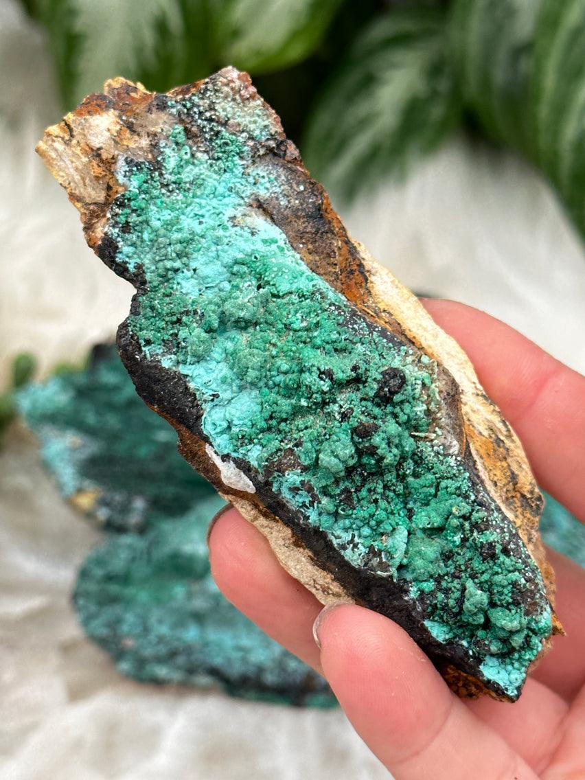 Malachite with Crysocolla