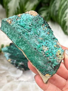 Contempo Crystals - green-malachite-from-morocco - Image 11