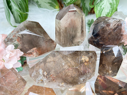 Rutilated Quartz & Smoky