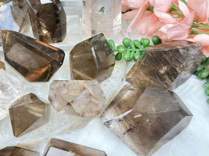 Rutilated Quartz & Smoky