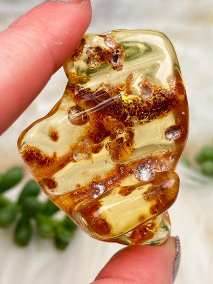 Colombian Amber with Insects