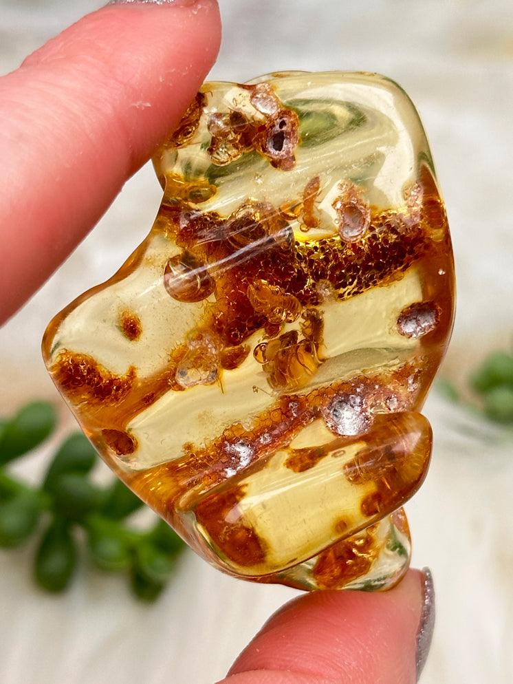 Colombian Amber with Insects - Choose Exact Piece!