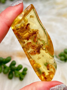 Contempo Crystals - Colombian Amber with Insects - Image 19