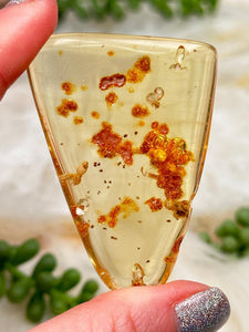 Contempo Crystals - Colombian Amber with Insects - Image 16