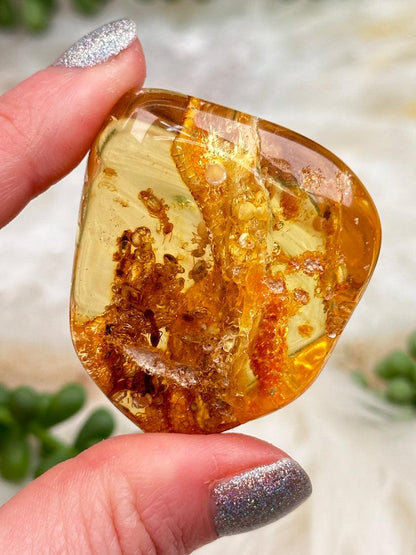 Colombian Amber with Insects