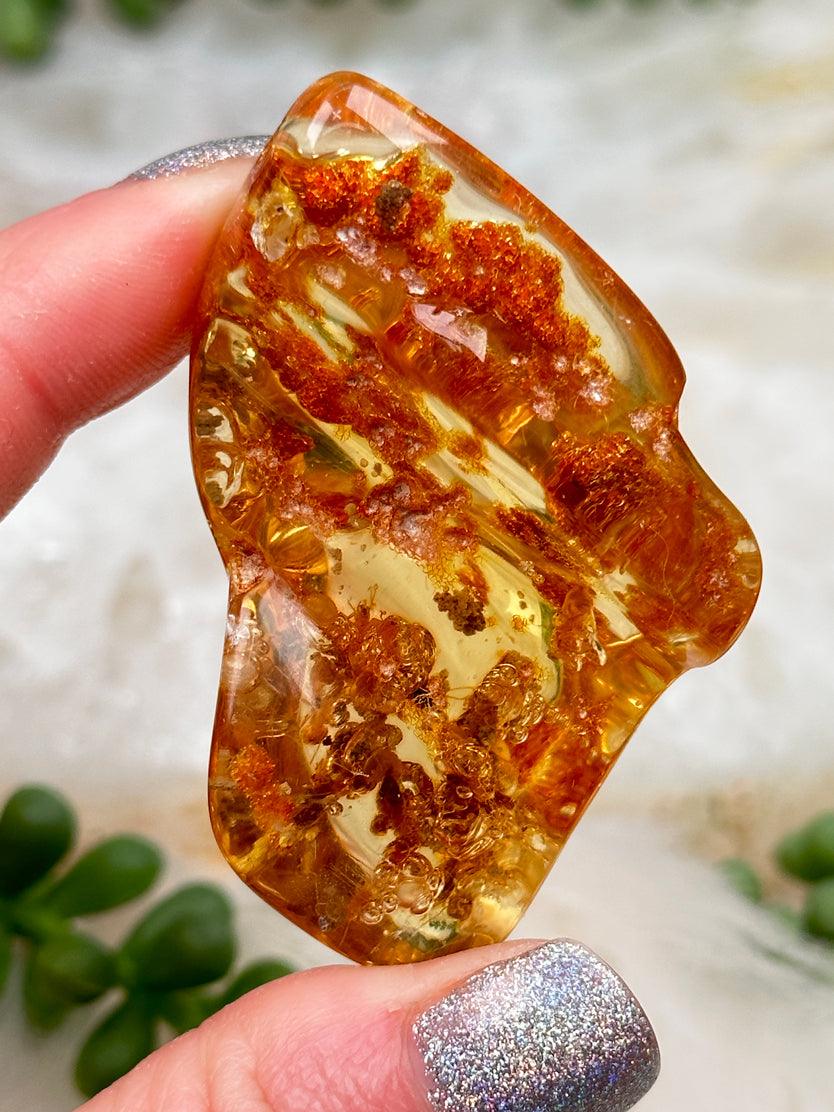 Colombian Amber with Insects