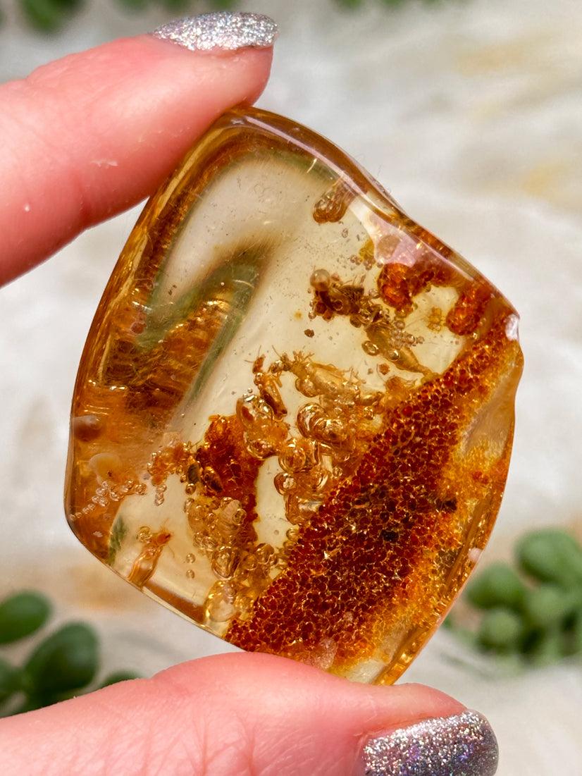 Colombian Amber with Insects