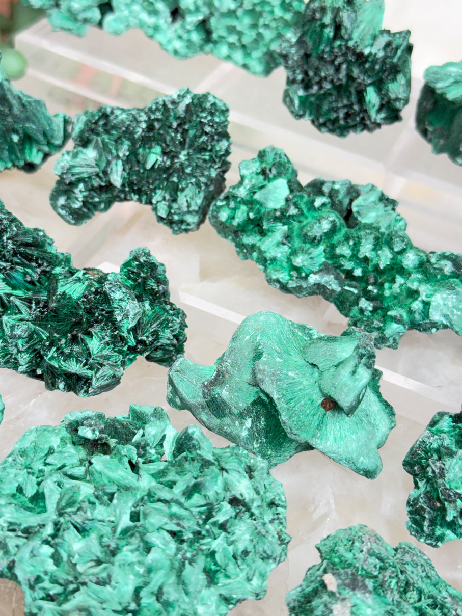 Fibrous Malachite