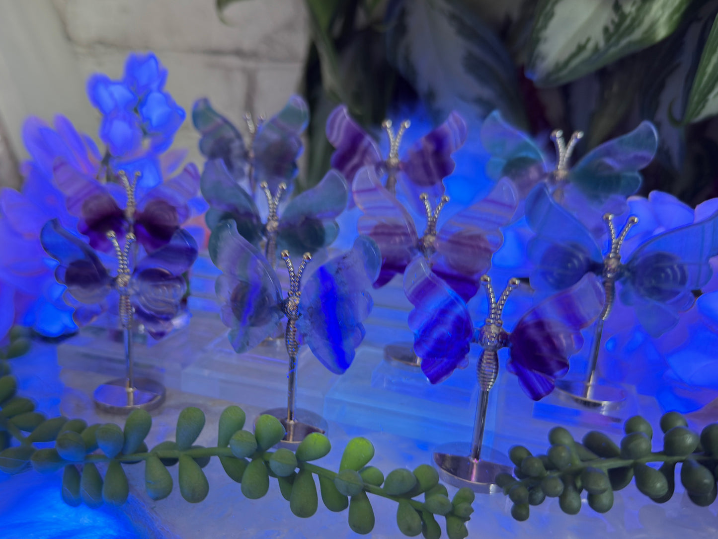 Mini Fluorite Crystal Butterflies