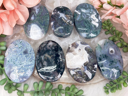 Moss Agate Palms