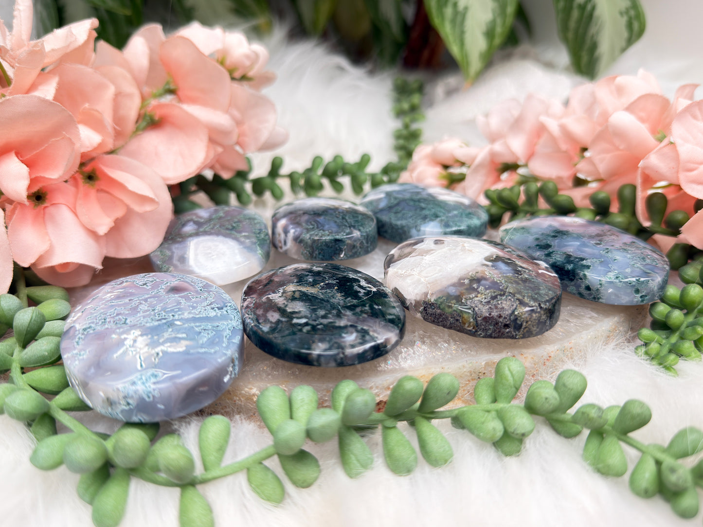 Moss Agate Palms
